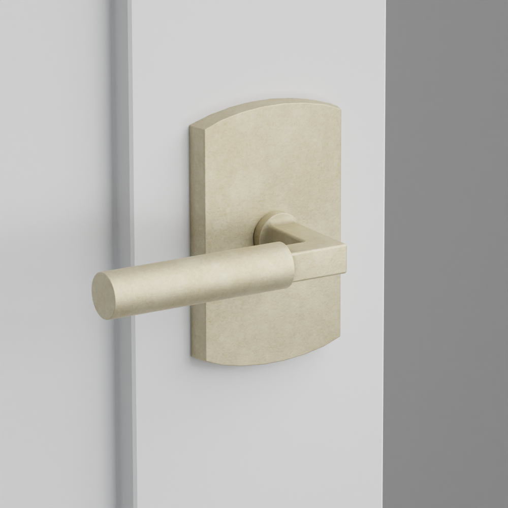Exterior render - cgrender/InteriorPassagePrivacyDummy/default/h.lever_BR.finish_TWB/r.rosette_dummy_7050.finish_TWB.png